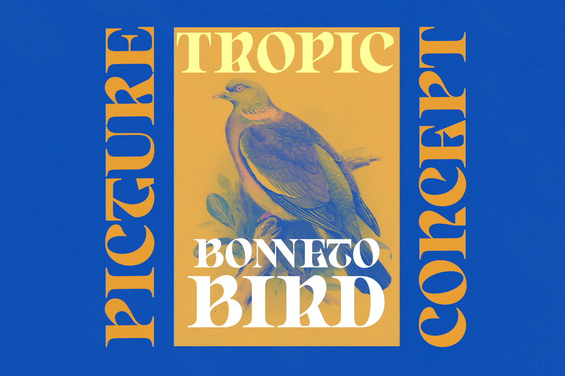 Born Spirit Font Poster #1