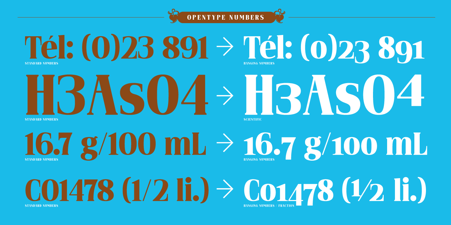 Vidocq Font Poster #1