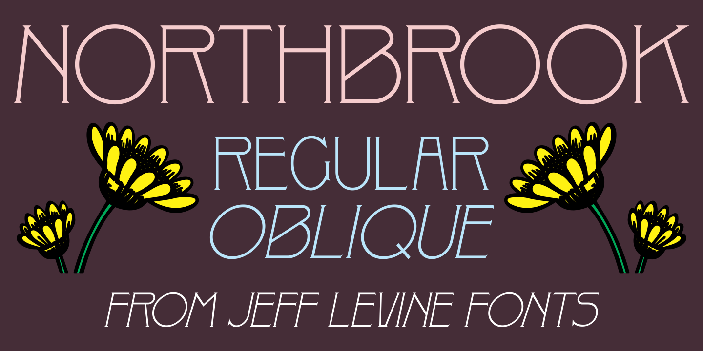 Northbrook Font Family Poster