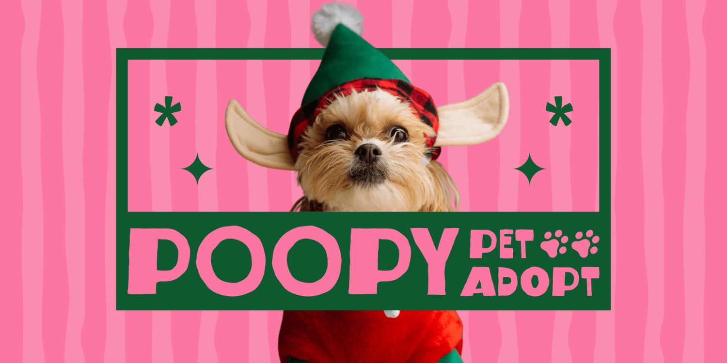 Rogly Font Poster #9