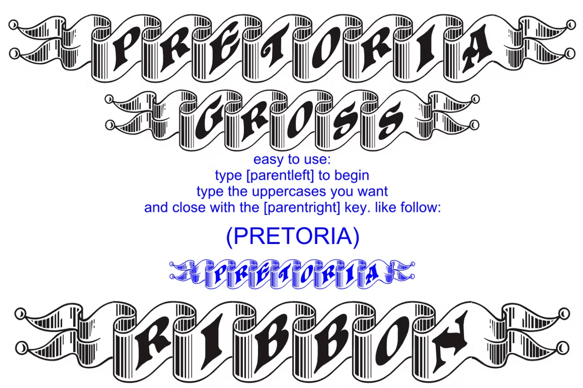 Pretoria Gross Font Poster #4