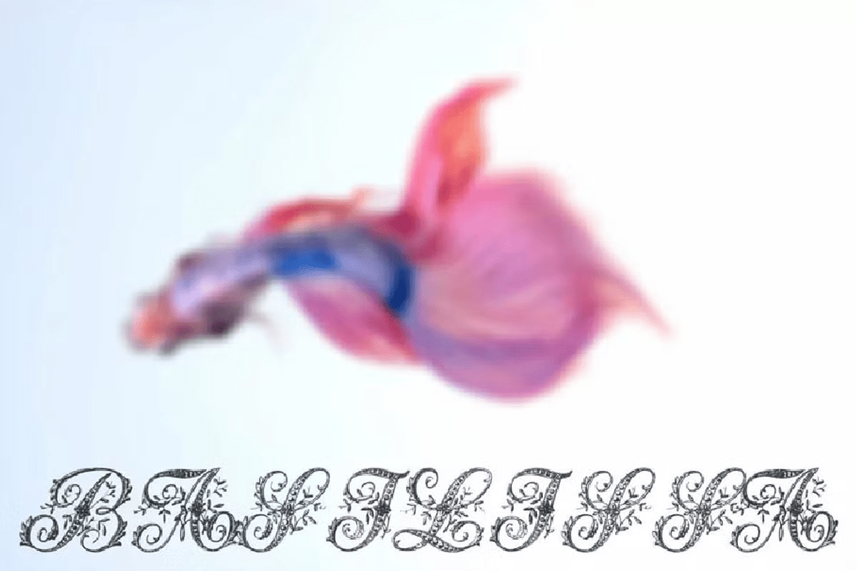Basilissa Font Poster #1