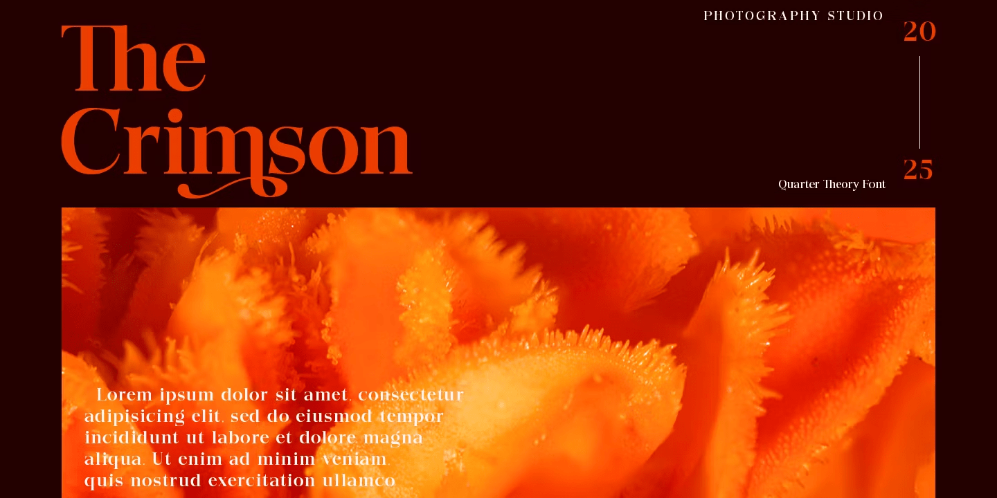 Quarter Theory Font Poster #4