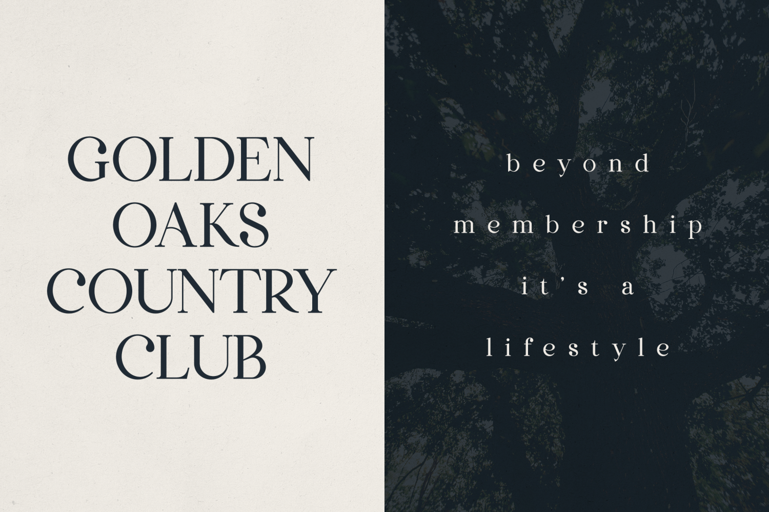 Dentra Font Poster #1