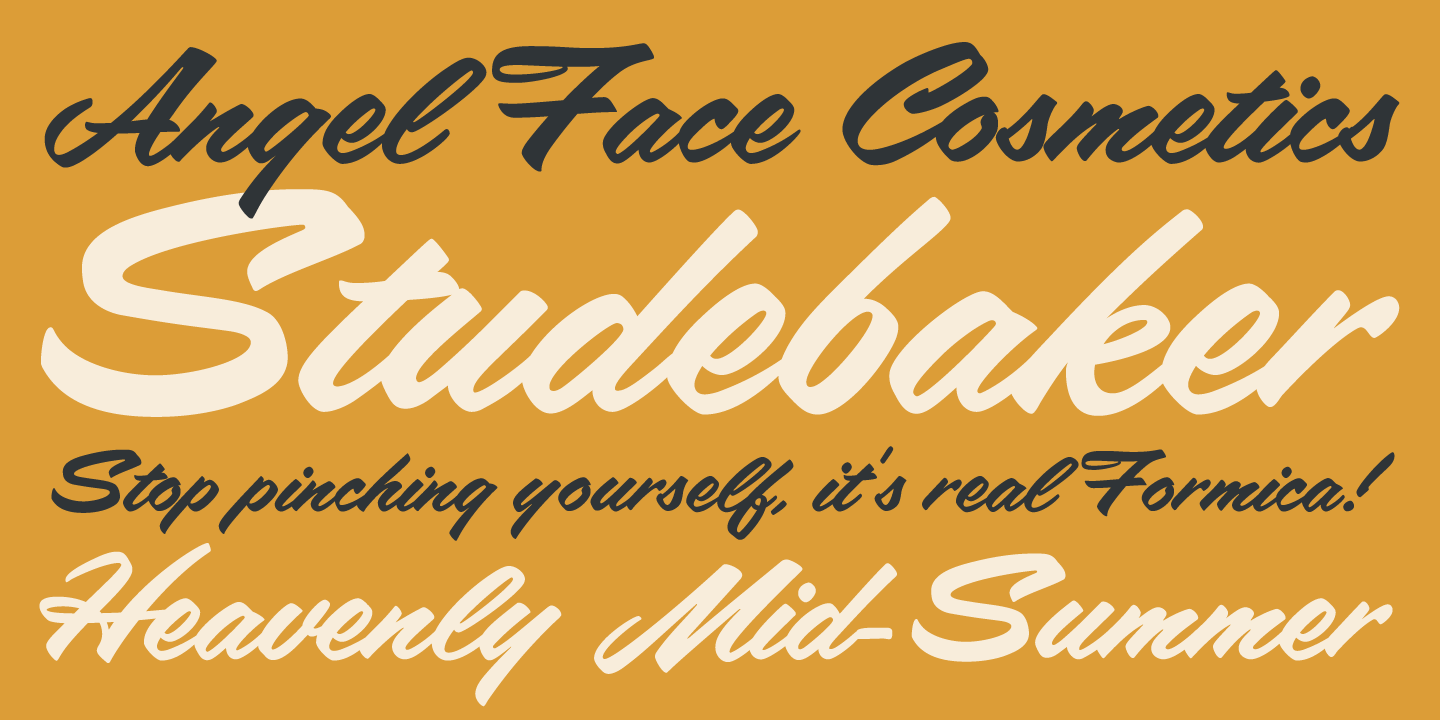 Filmotype LaSalle Font Poster #3
