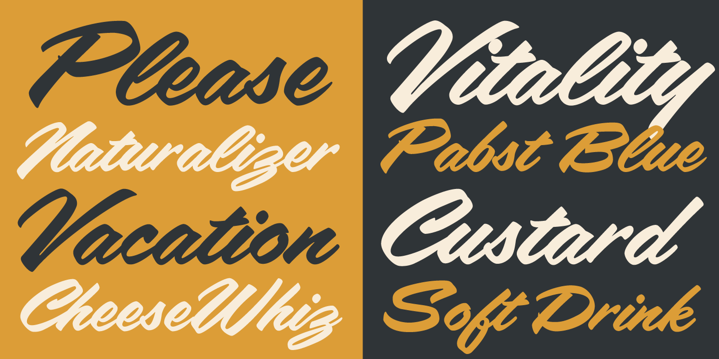 Filmotype LaSalle Font Poster #4