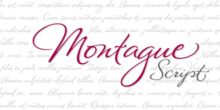 Montague Script Poster