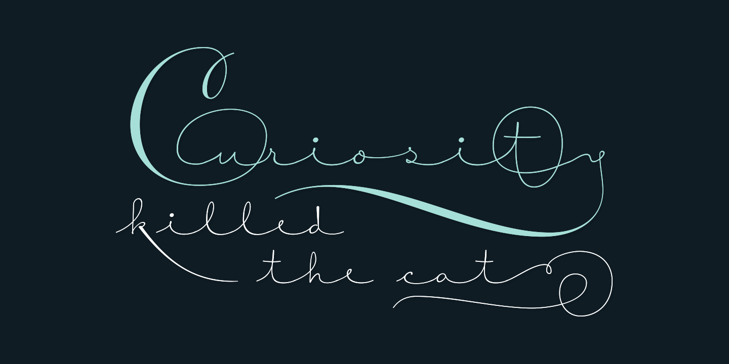 Courtesy Script Pro Font Poster #1