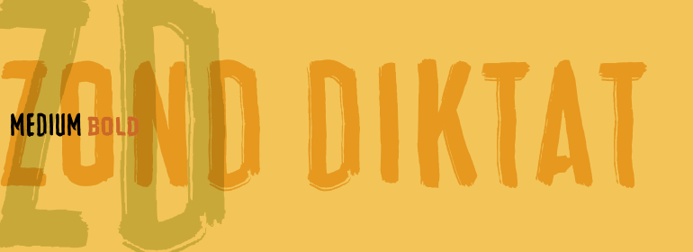 Zond Diktat Font Poster #1