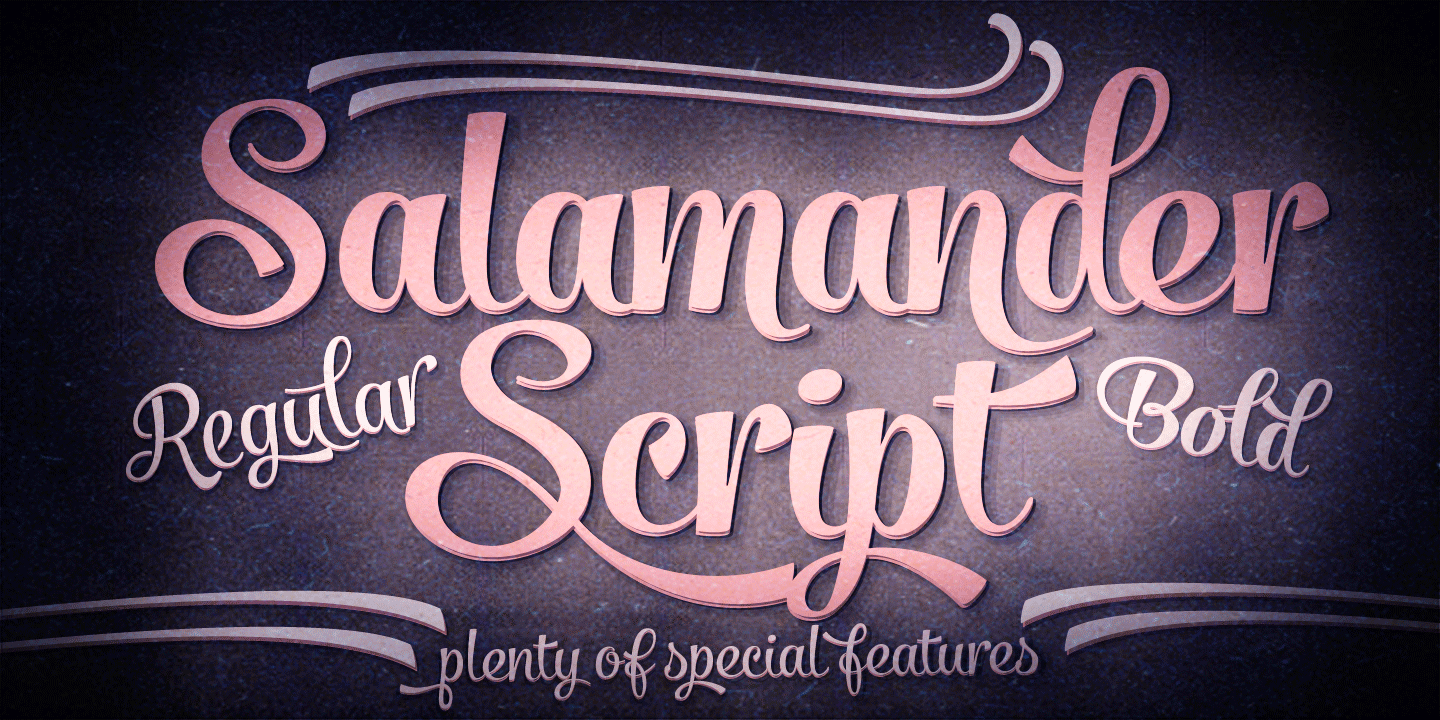 Salamander Font Family Poster