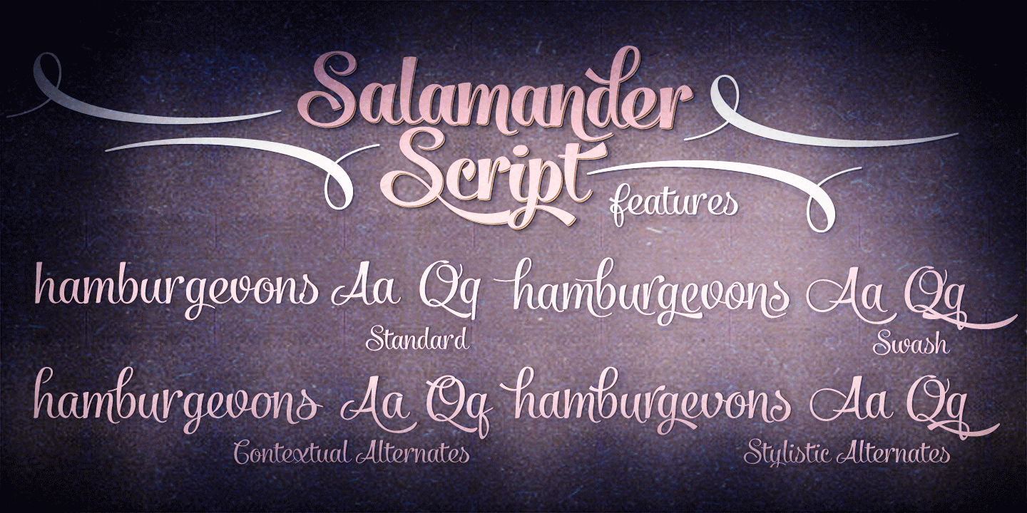 Salamander Font Poster #1
