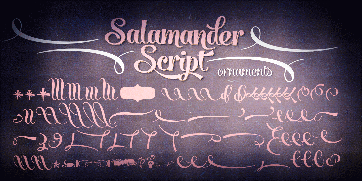 Salamander Font Poster #1