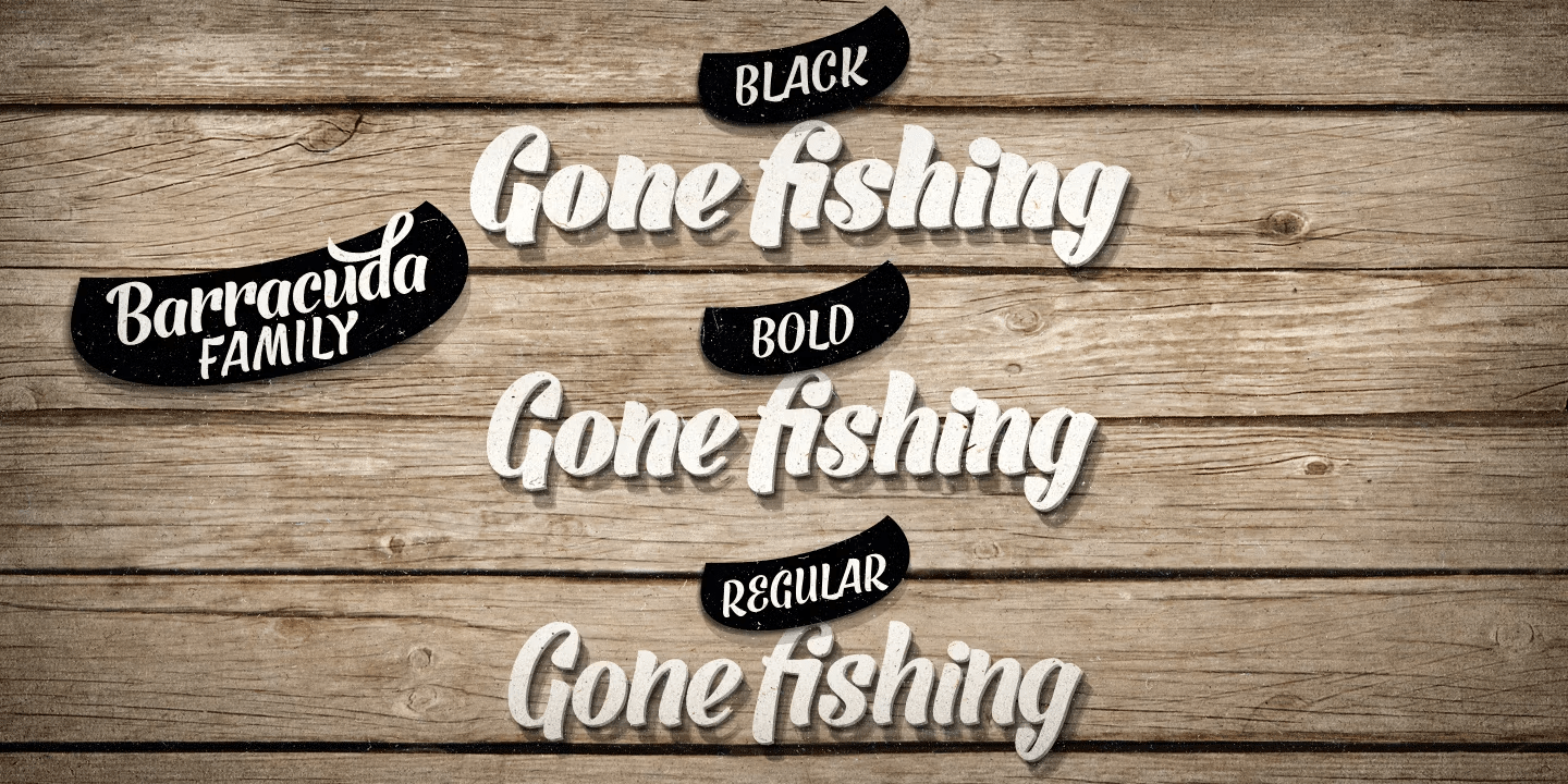 Barracuda Set Font Poster #1