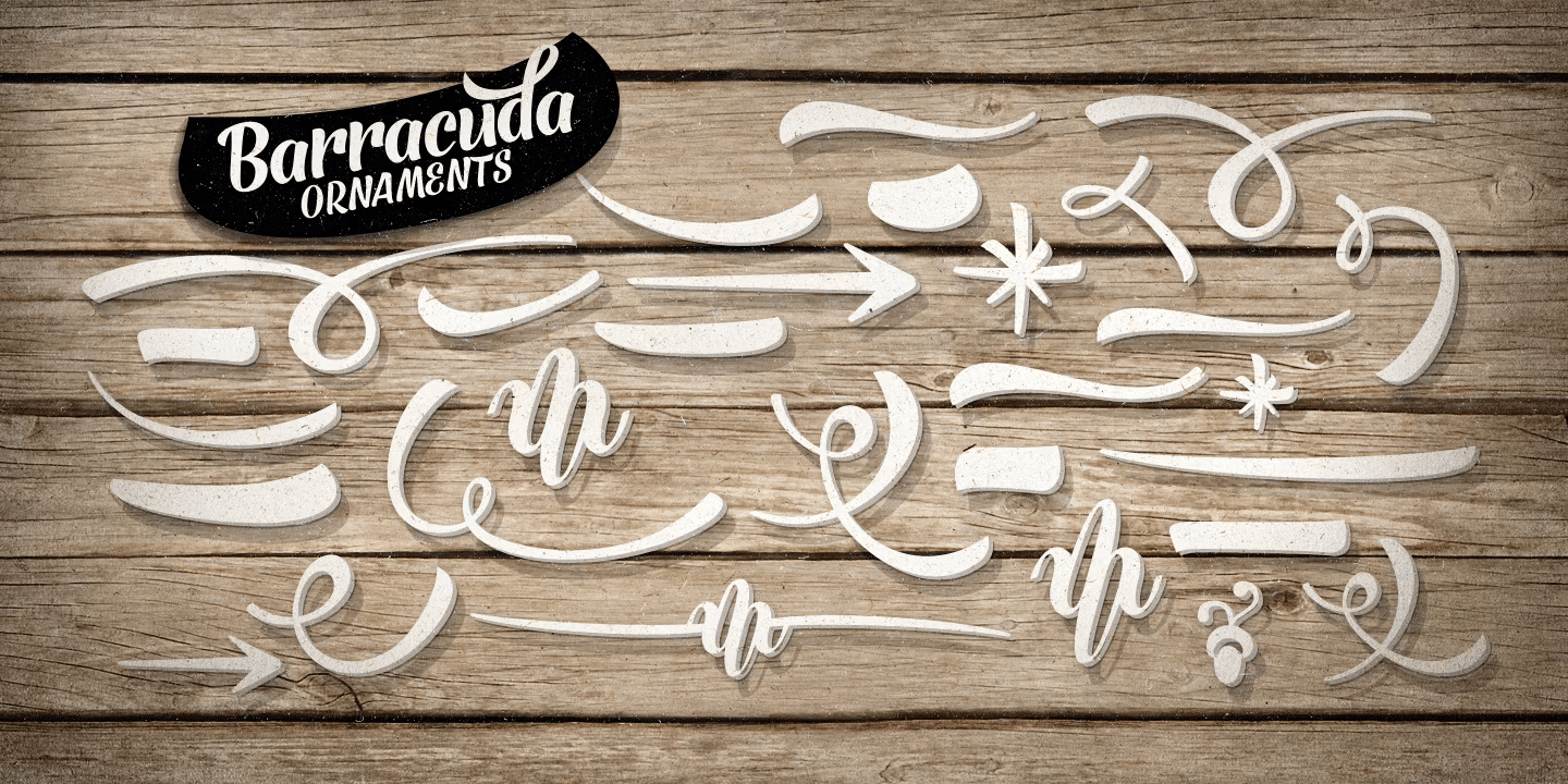 Barracuda Set Font Poster #1