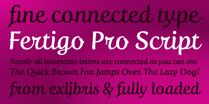 Fertigo Pro Script Font Poster #1