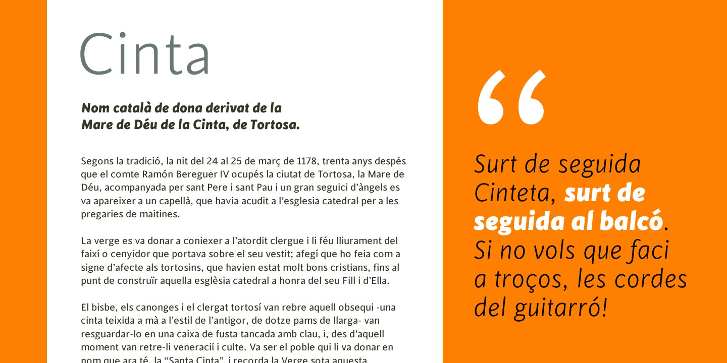 Cinta Font Poster #1