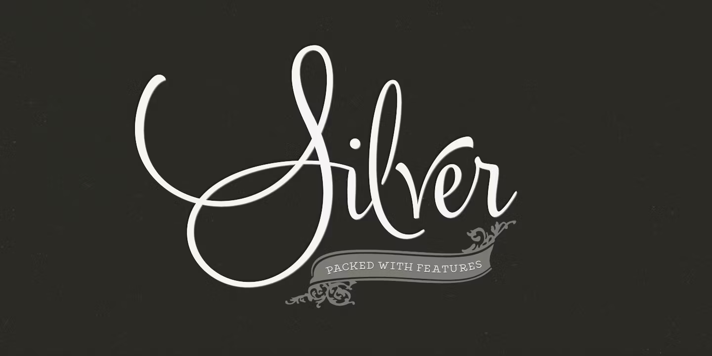 Silver Font Family Poster