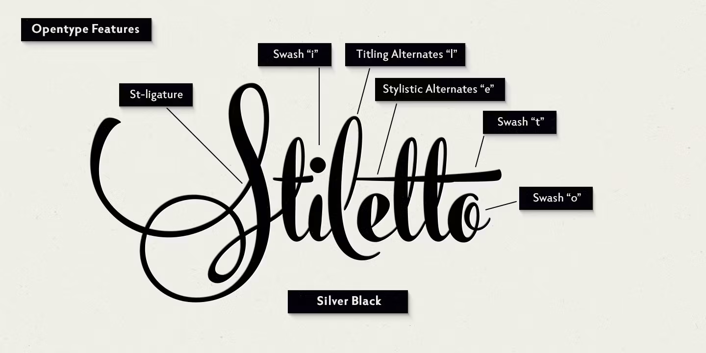 Silver Font Poster #1