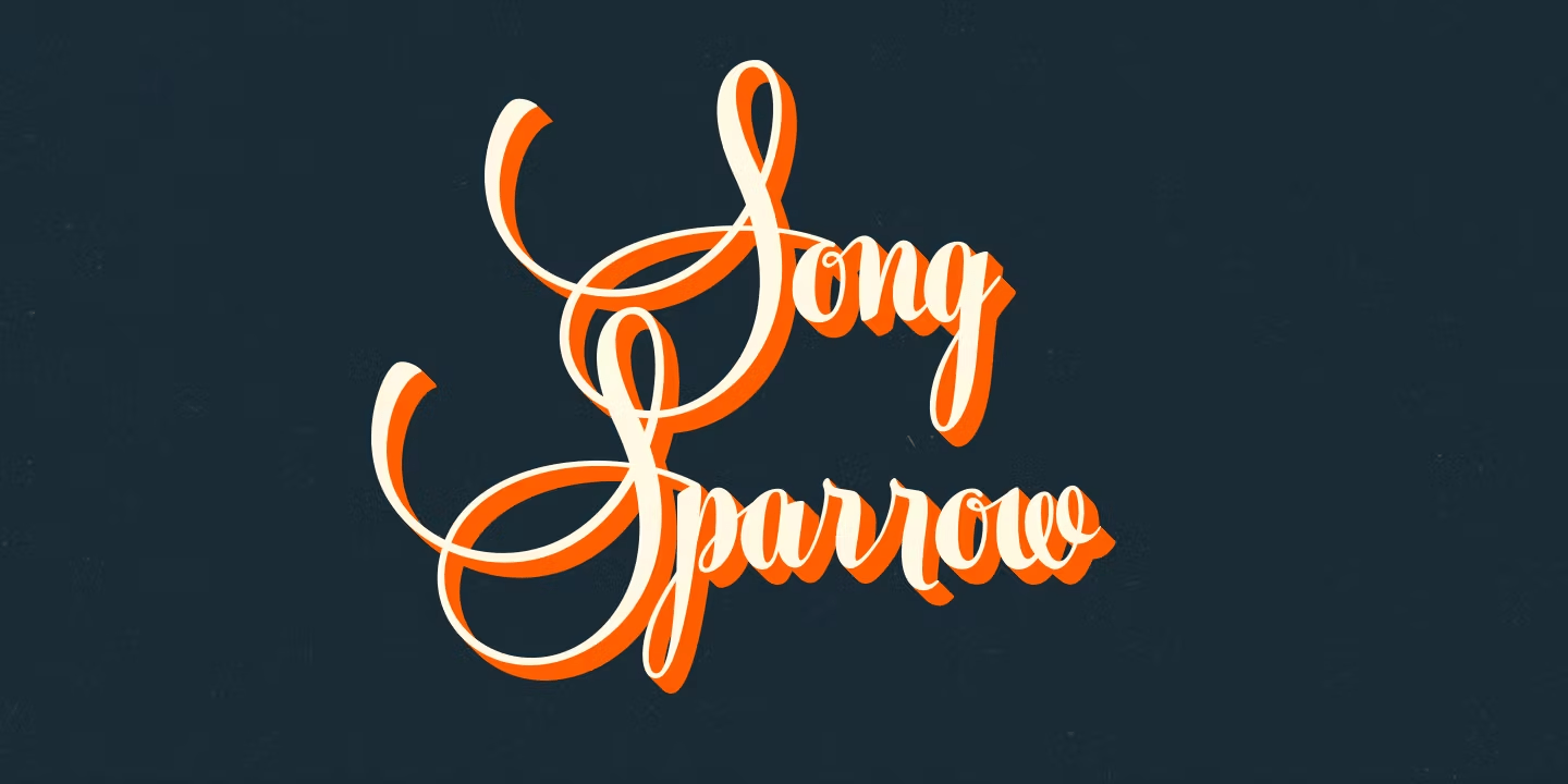 Silver Font Poster #1