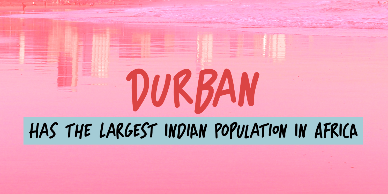 Bunny Chow Font Poster #1