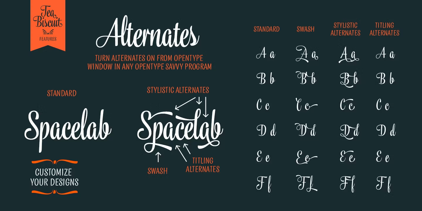 Tea Biscuit Font Poster #1