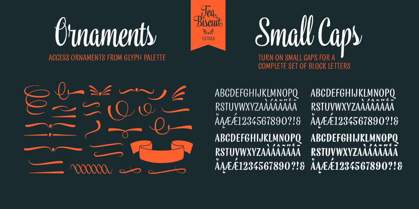 Tea Biscuit Font Poster #1