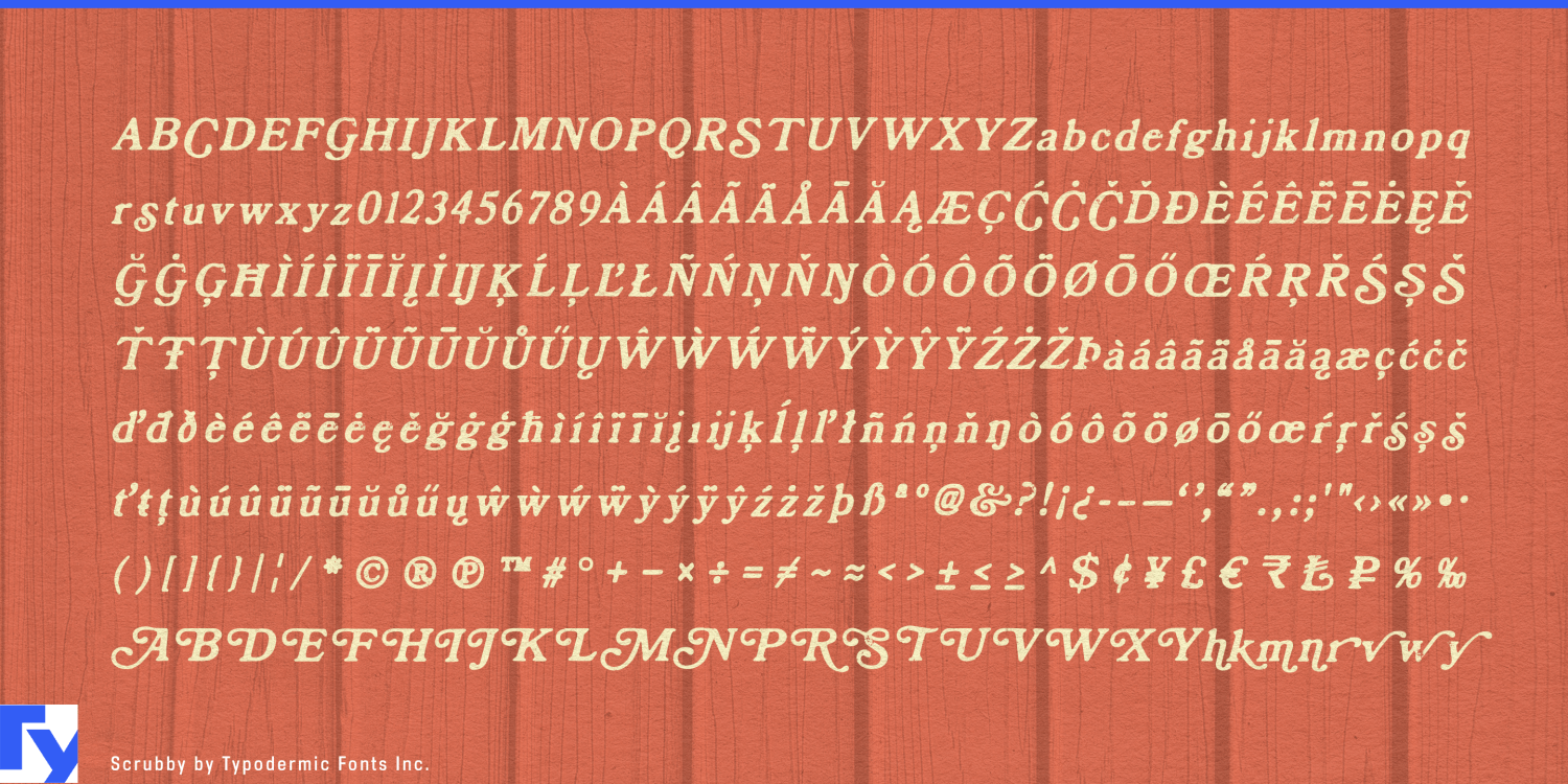 Scrubby Font Poster #1