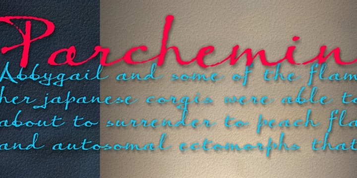 Parchemin Poster