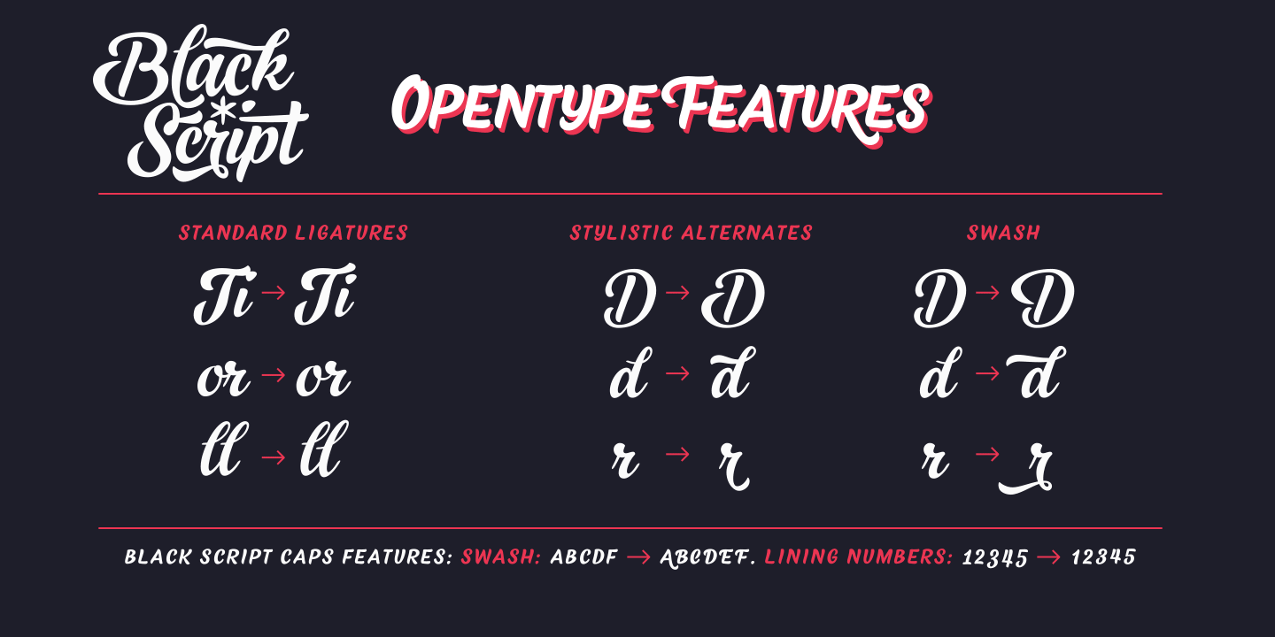 Black Script Font Poster #1