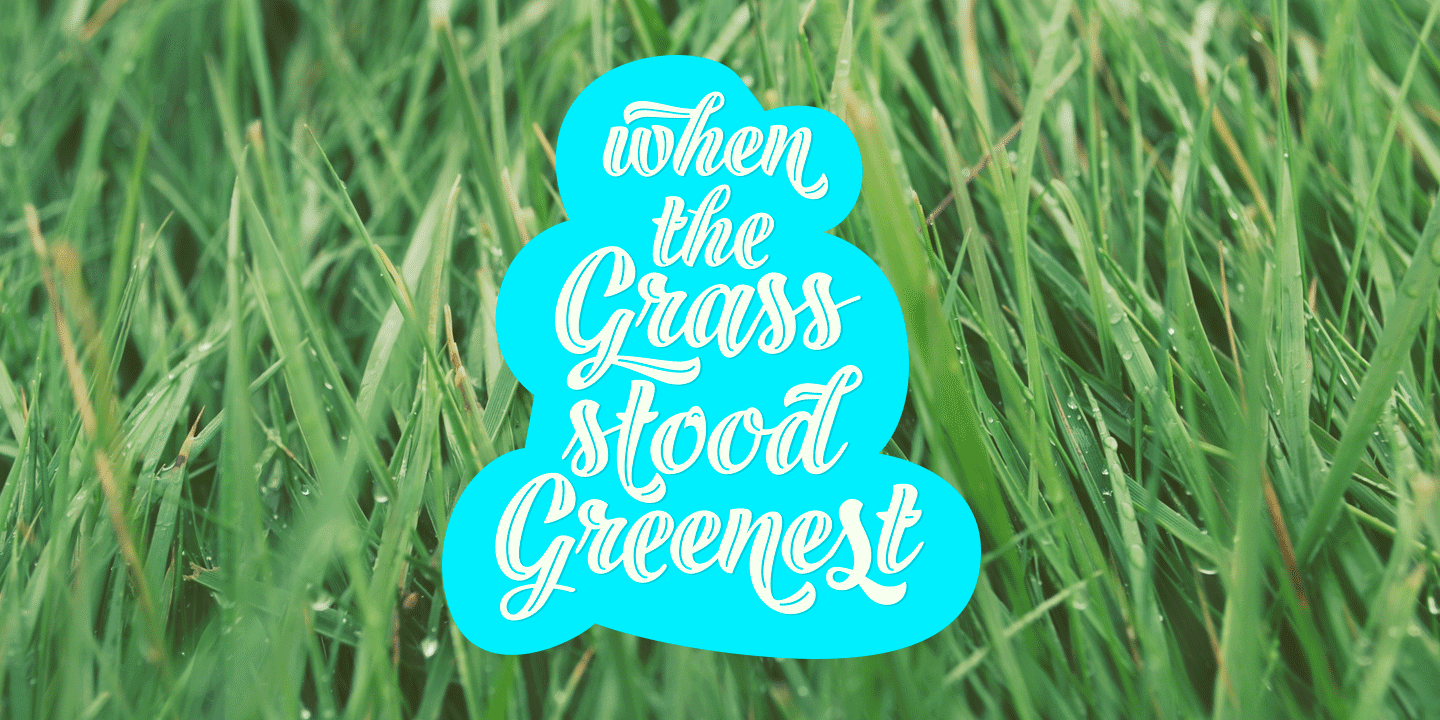 Black Script Font Poster #1