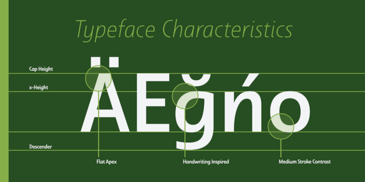 Dulcian Font Poster #1