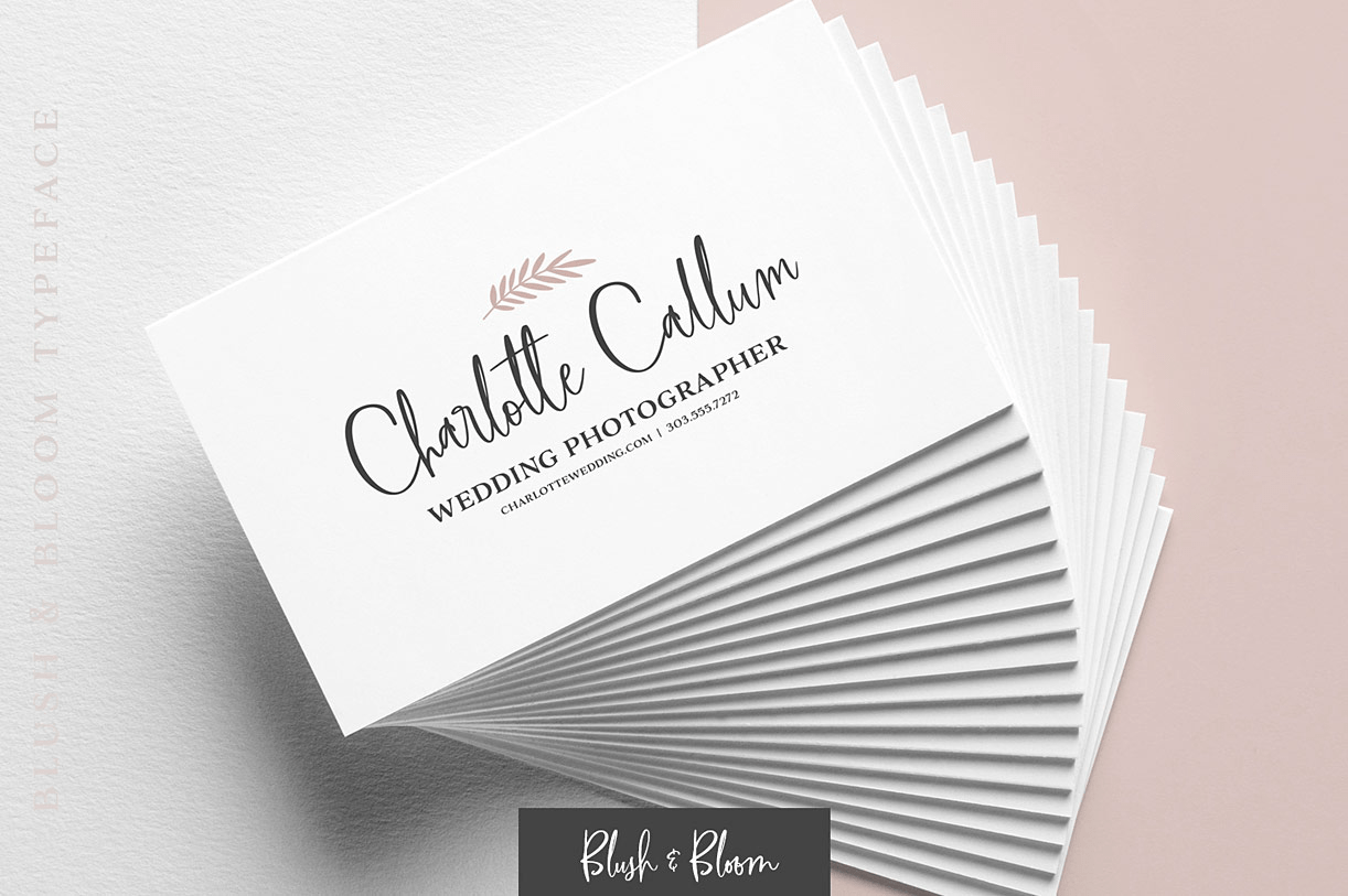 Blush & Bloom Font Poster #1