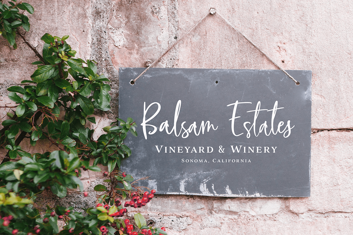 Blush & Bloom Font Poster #1