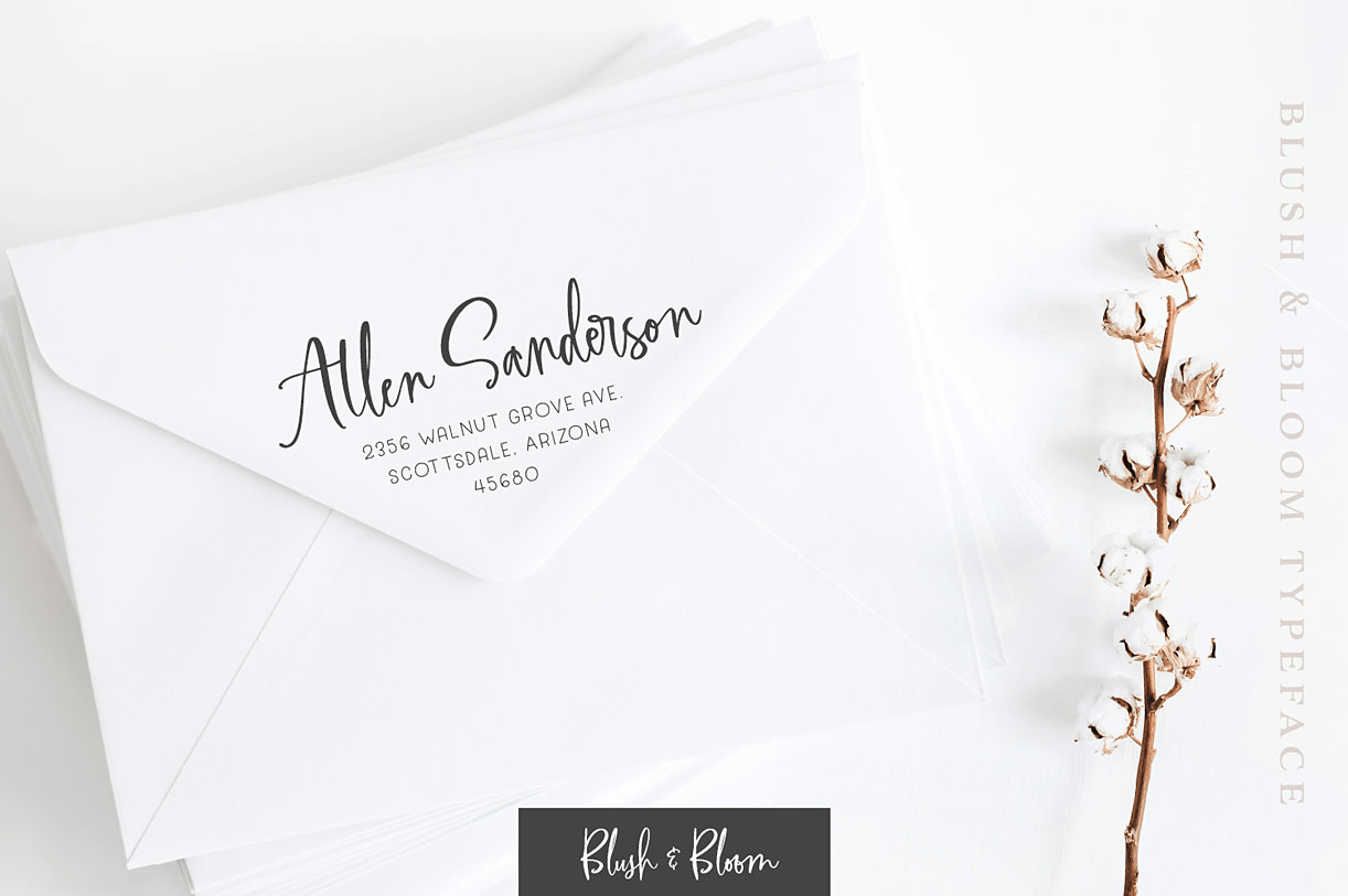 Blush & Bloom Font Poster #1