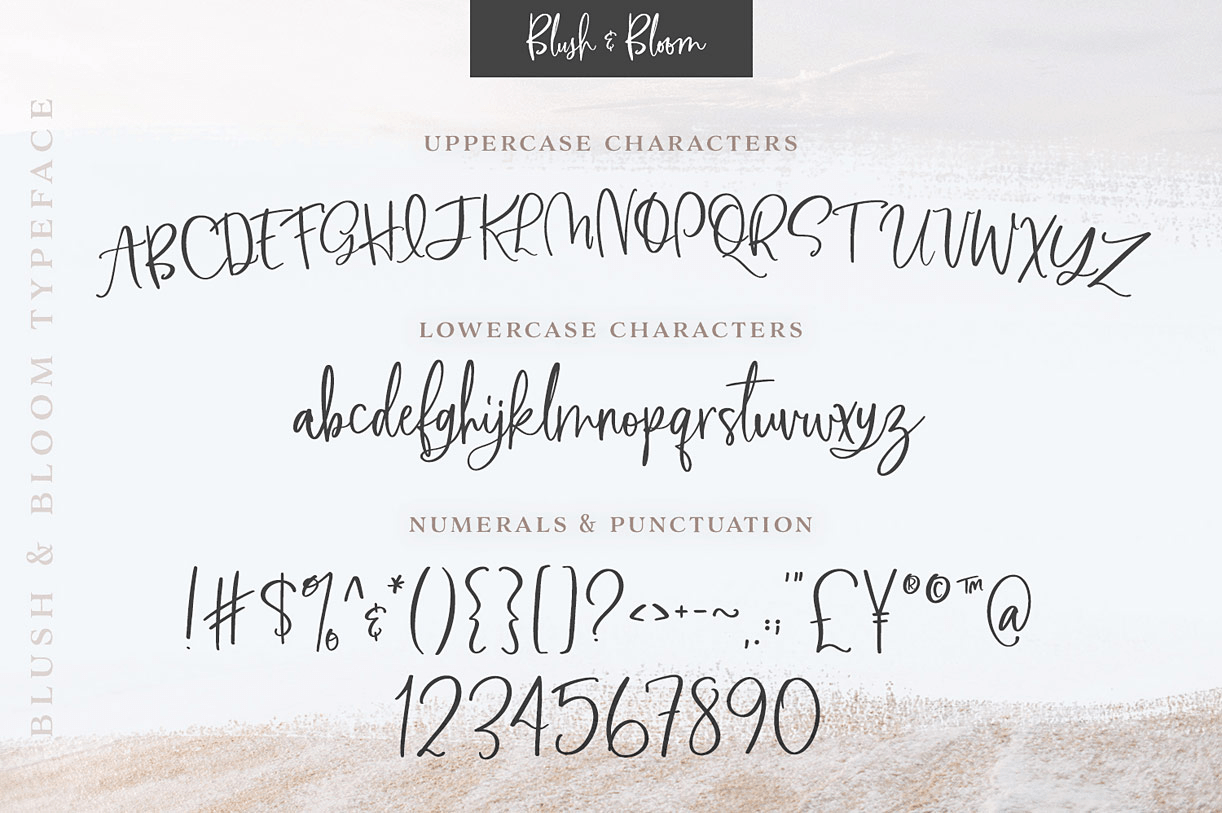 Blush & Bloom Font Poster #1