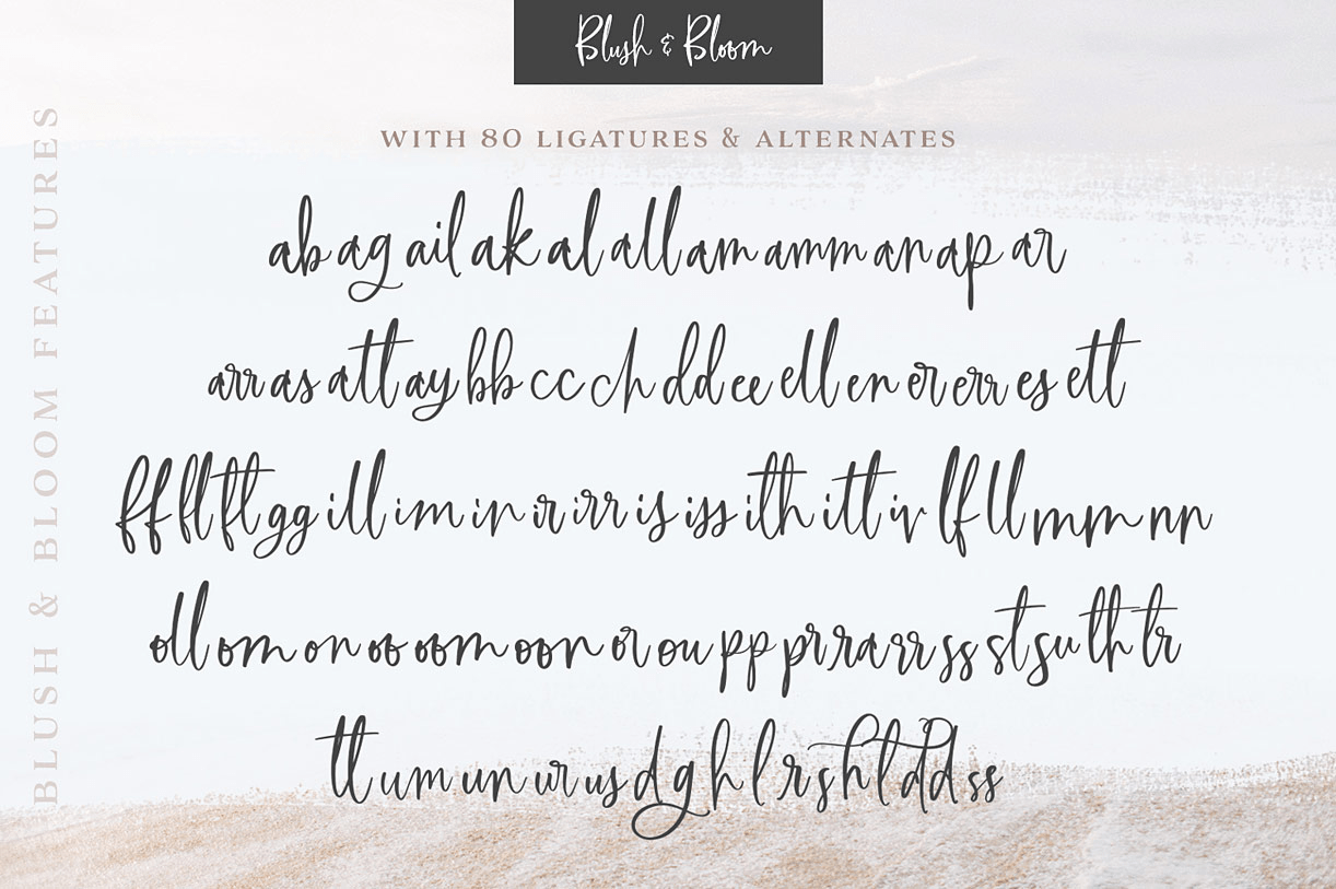 Blush & Bloom Font Poster #1