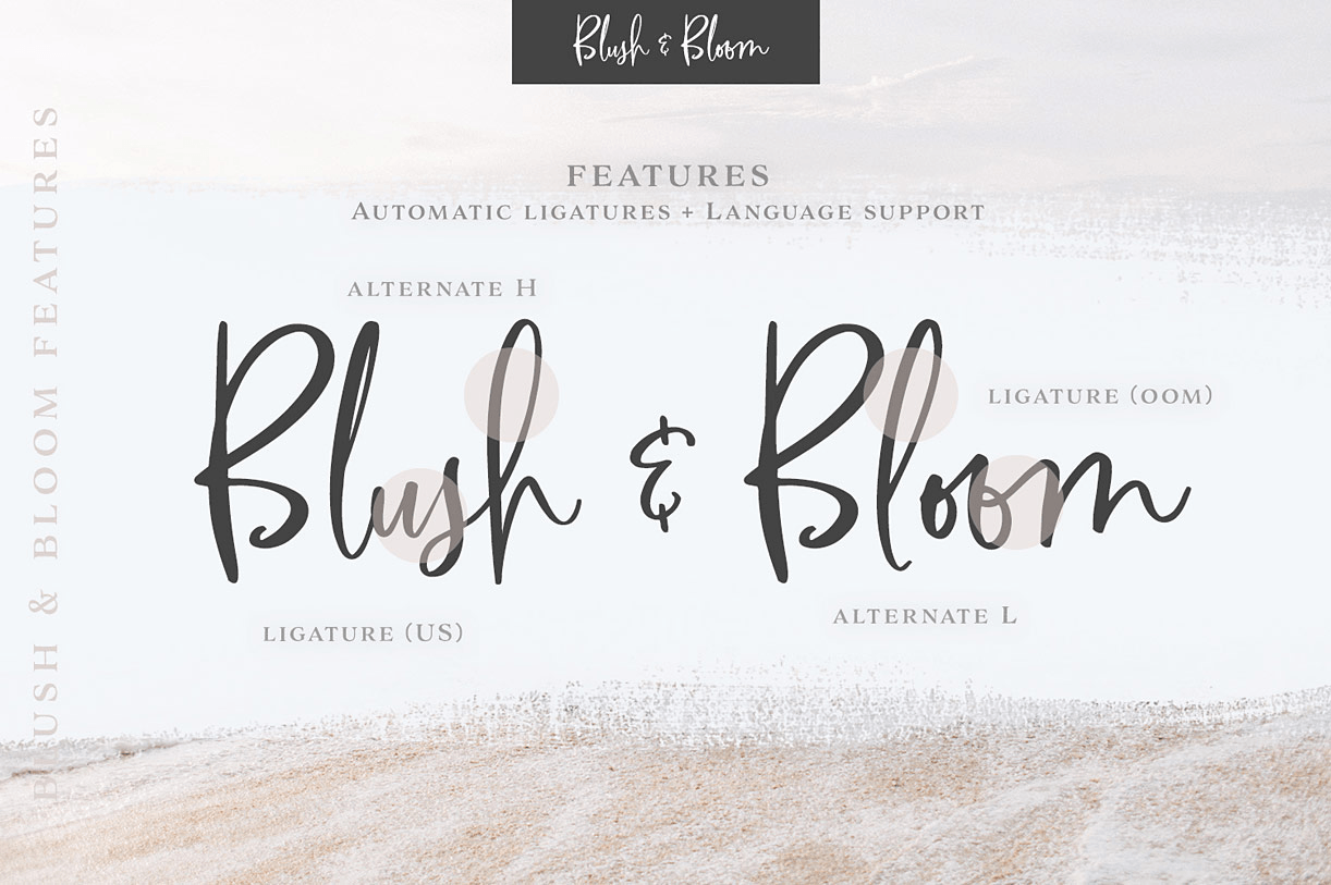 Blush & Bloom Font Poster #1