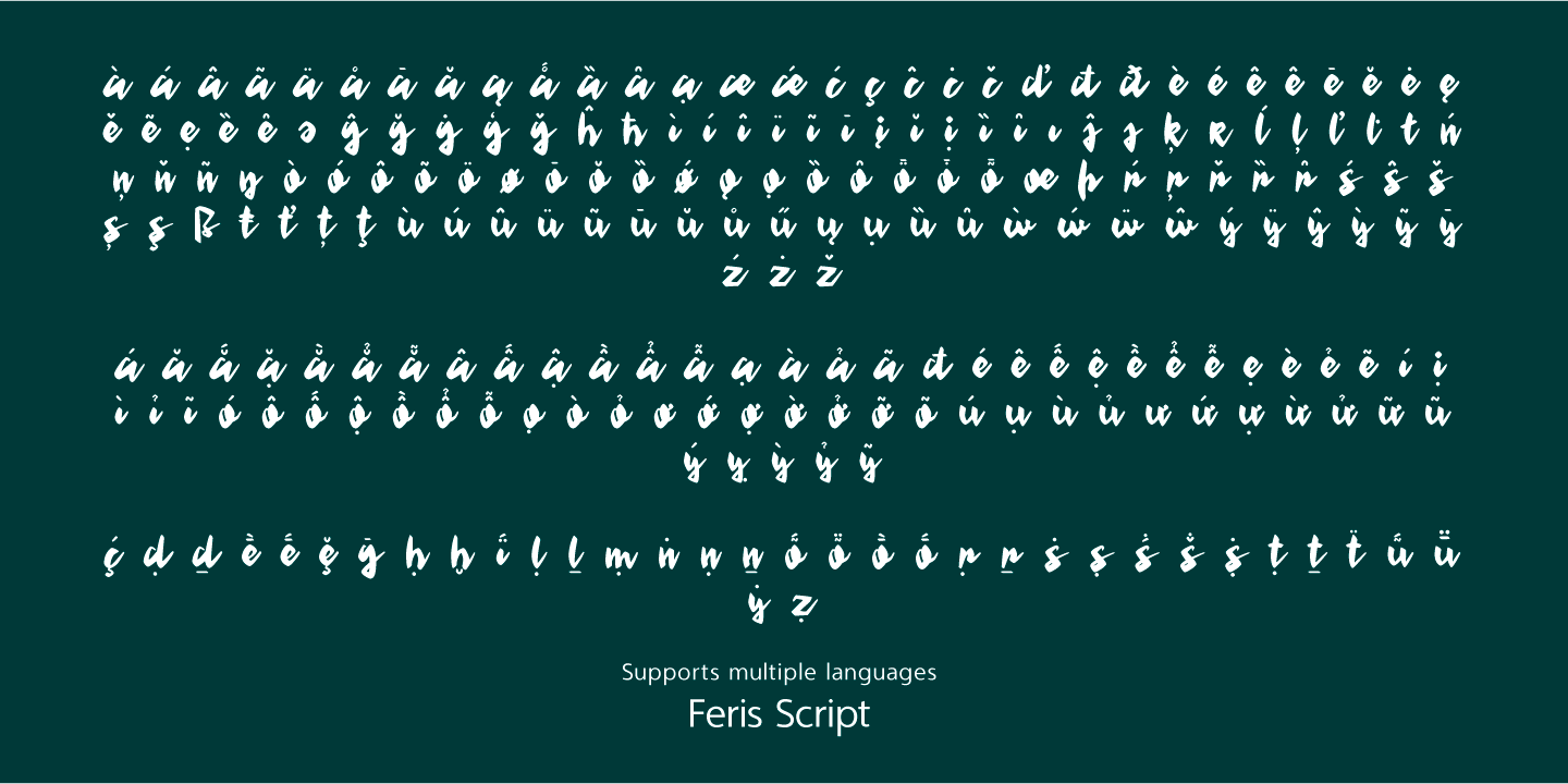 Feris Script Font Poster #1