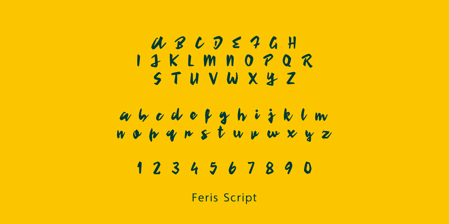 Feris Script Font Poster #1