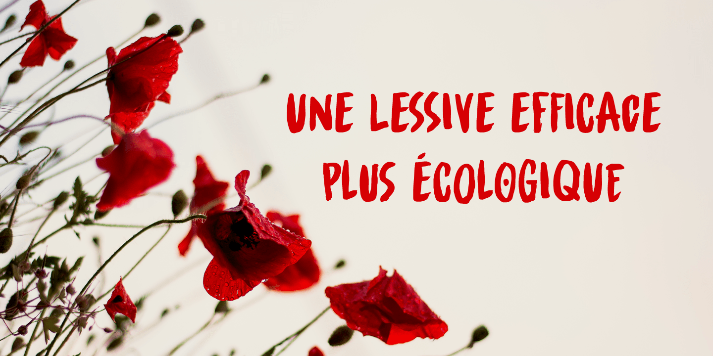 Spinwash Font Poster #1