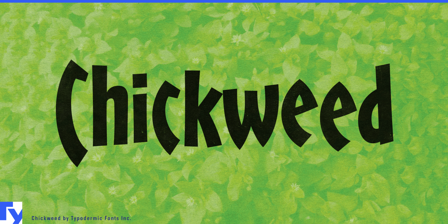 Chickweed Font Poster #1