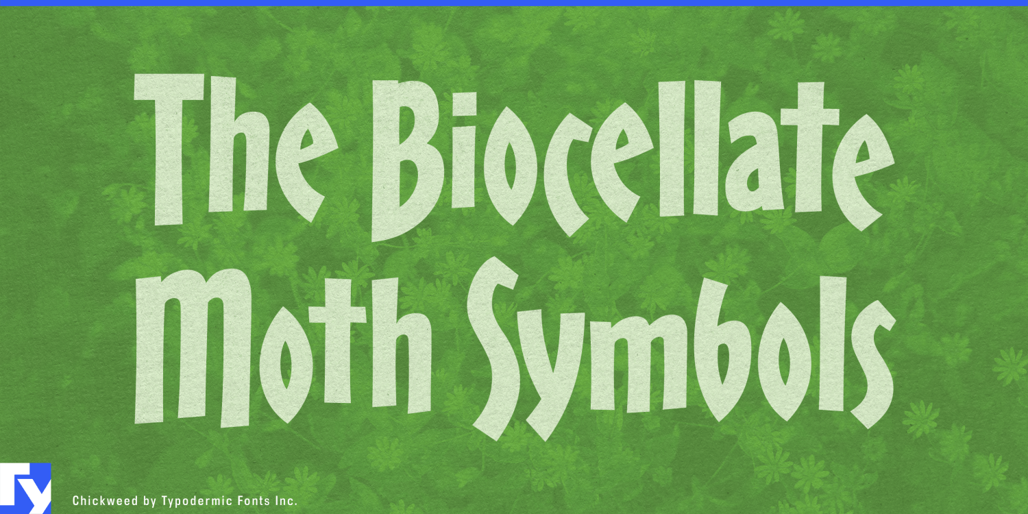 Chickweed Font Poster #1