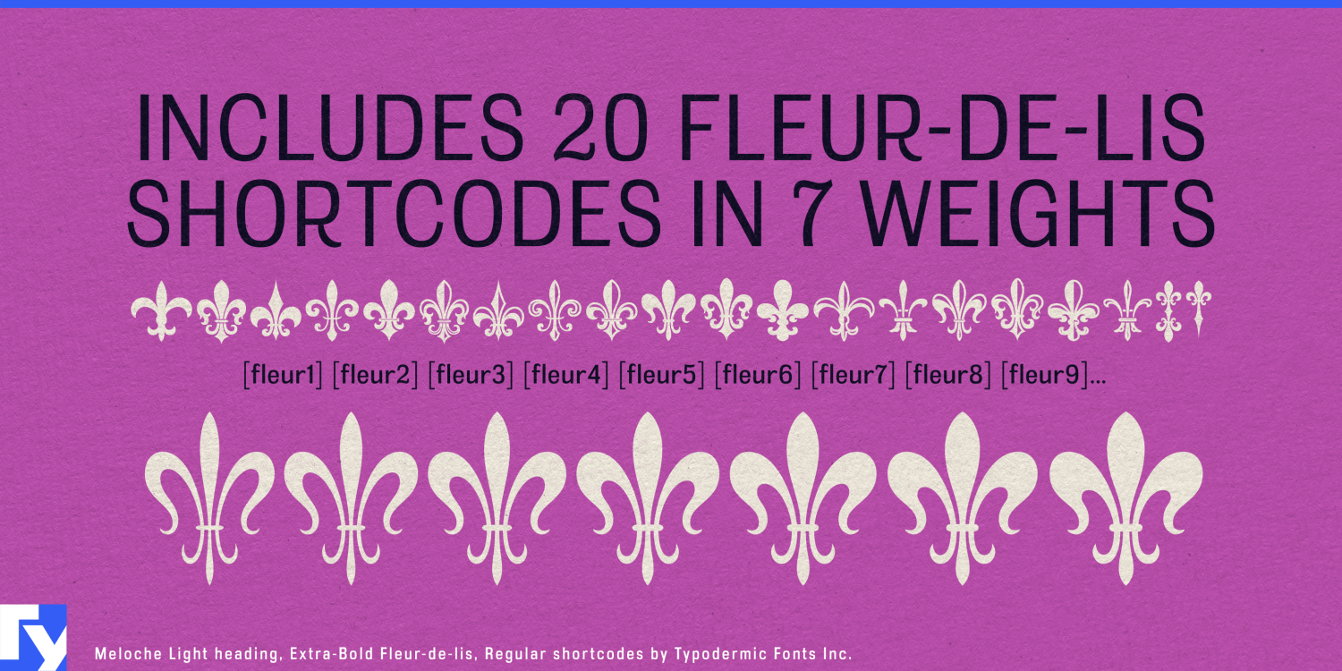 Meloche Font Poster #1