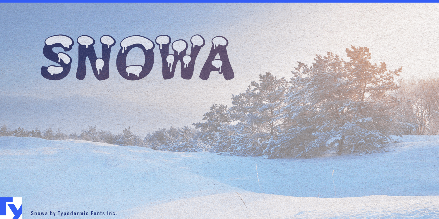 Snowa Font Poster #1