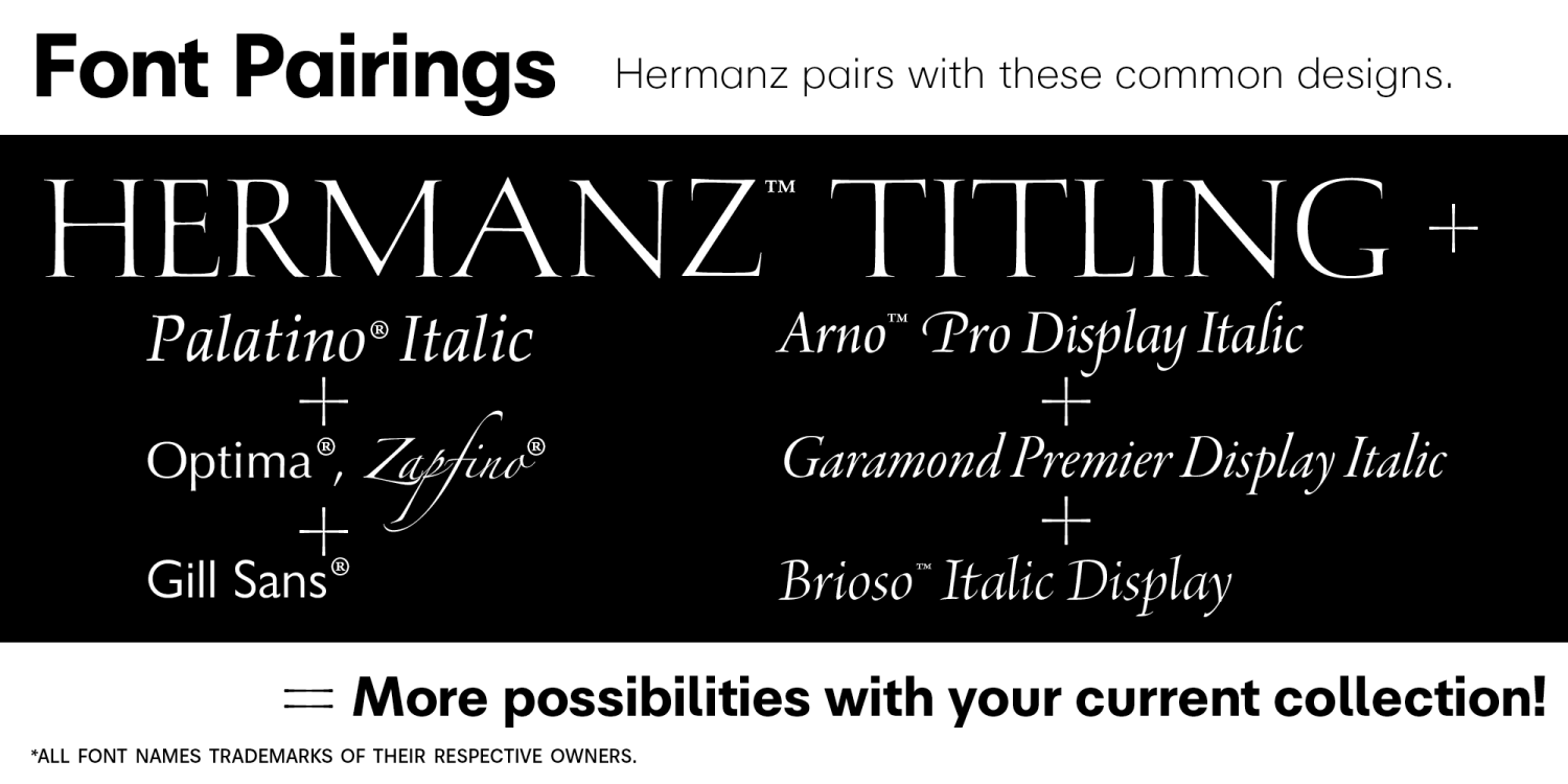 Hermanz Titling Font Poster #1