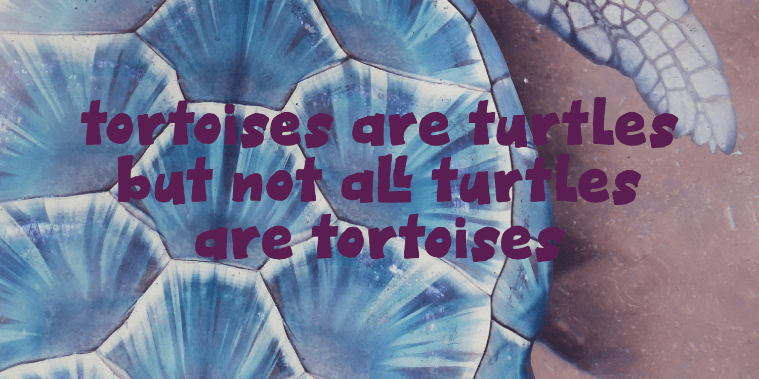Cosmic Turtle Font Poster #1