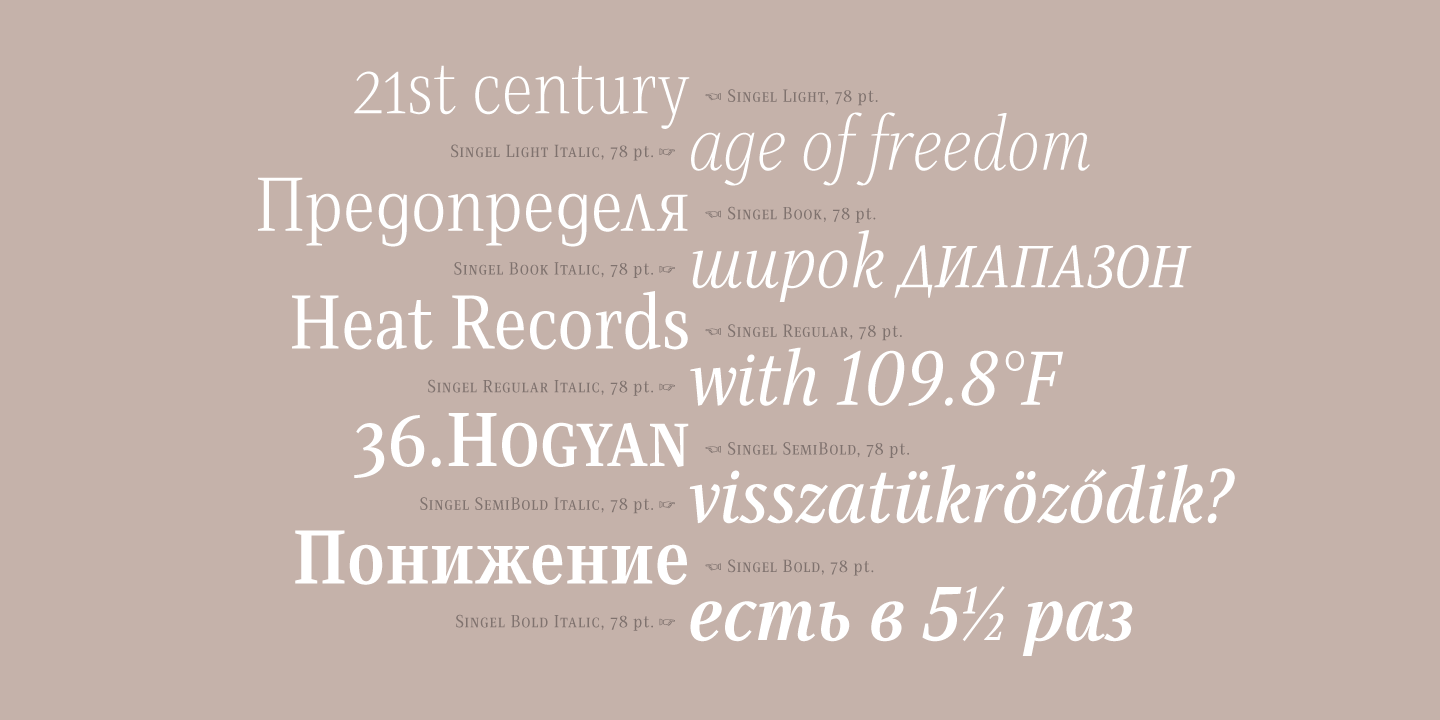 Singel Font Poster #1