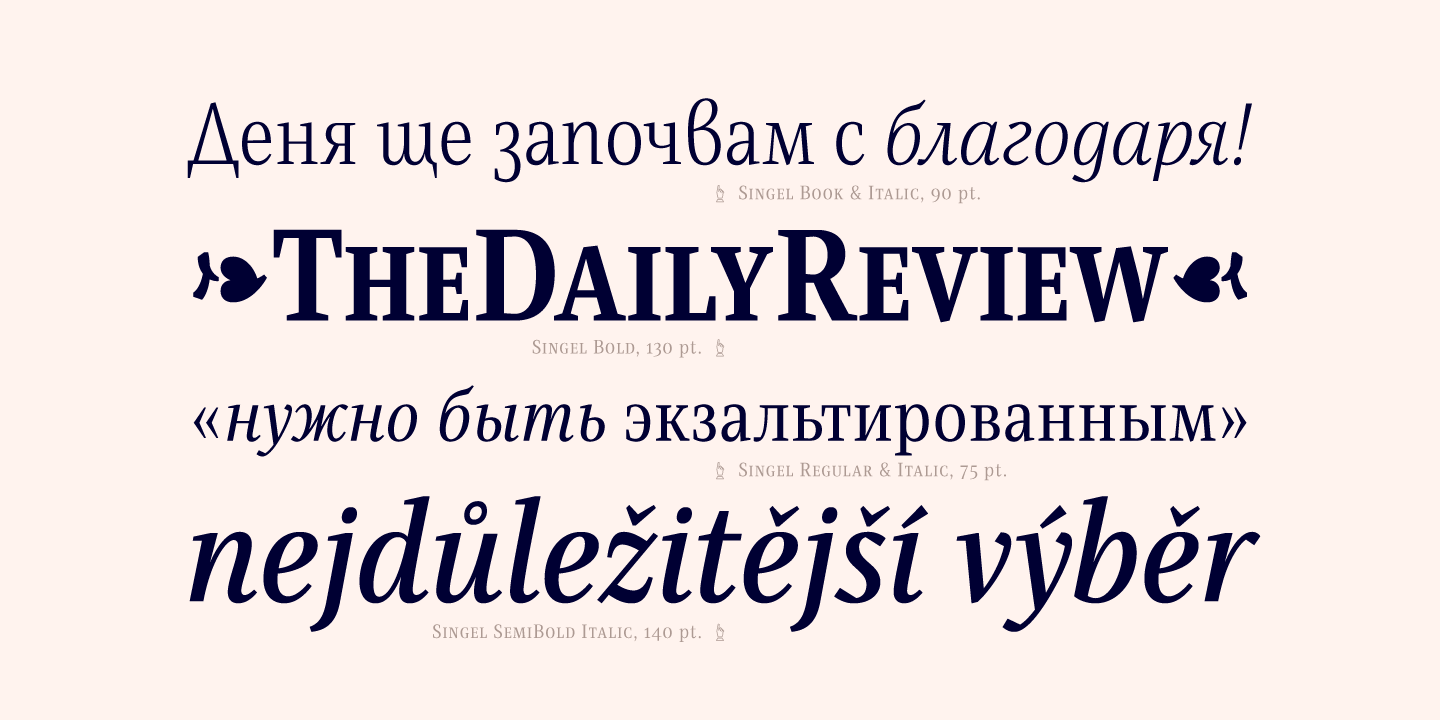 Singel Font Poster #1