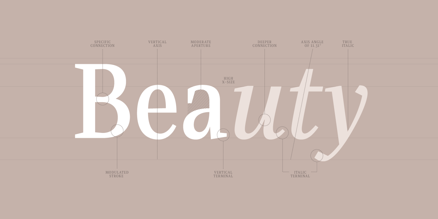 Singel Font Poster #1