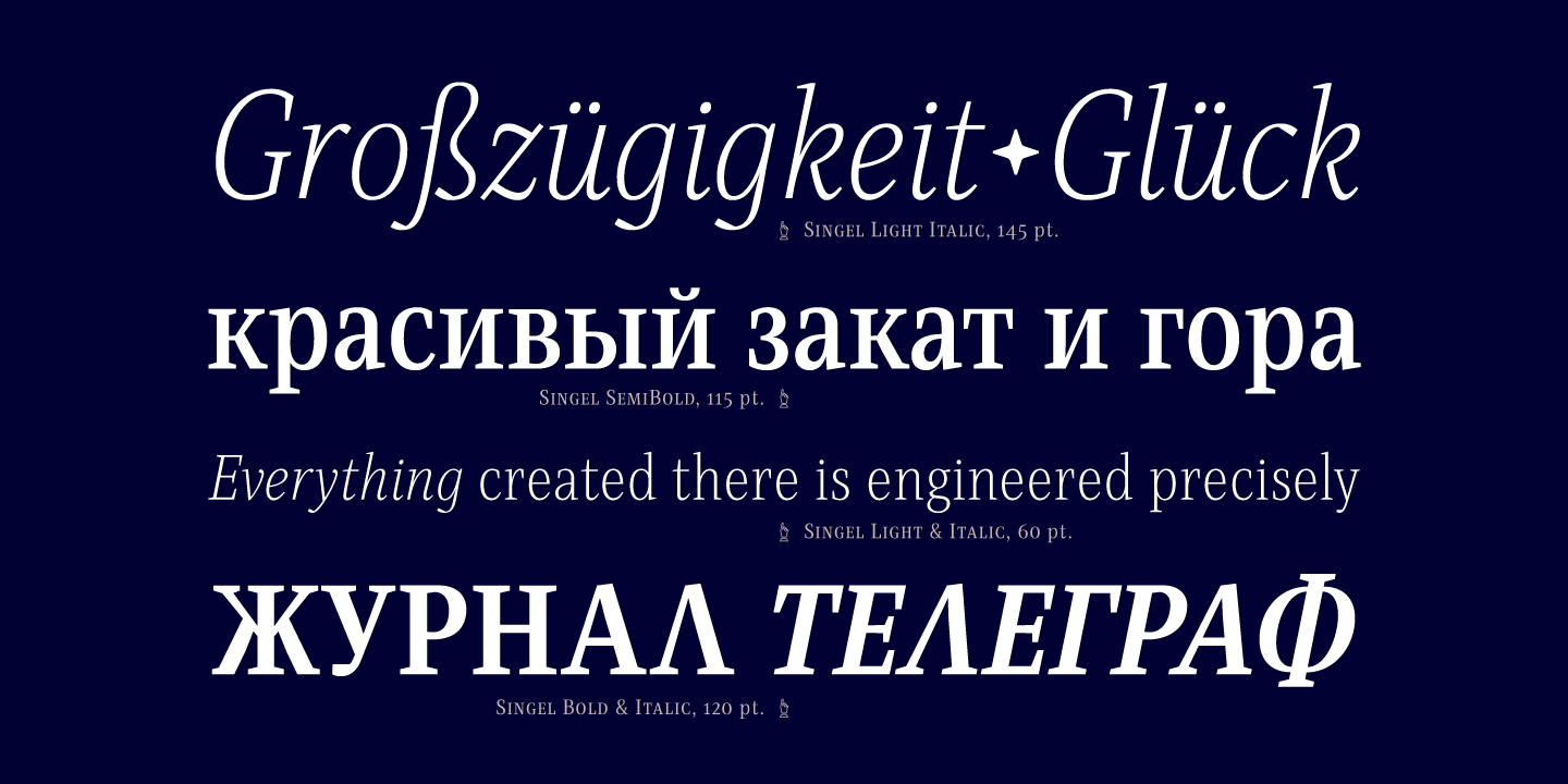 Singel Font Poster #1
